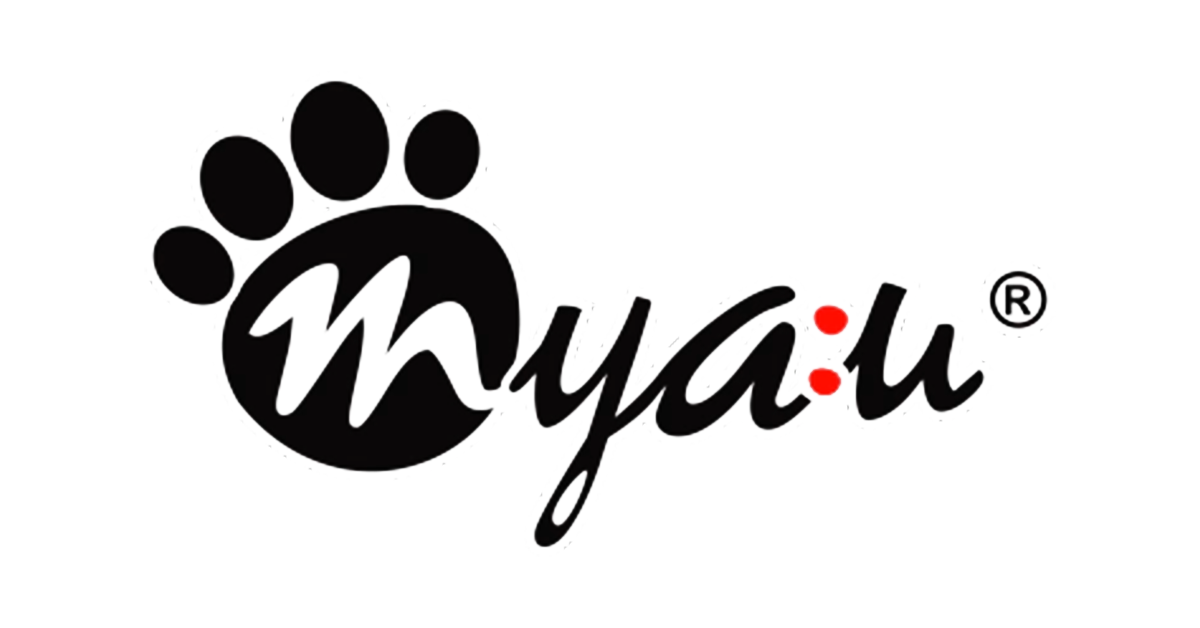 Discover Stylish, Comfortable Footwear for Kids at Myau – myauindia